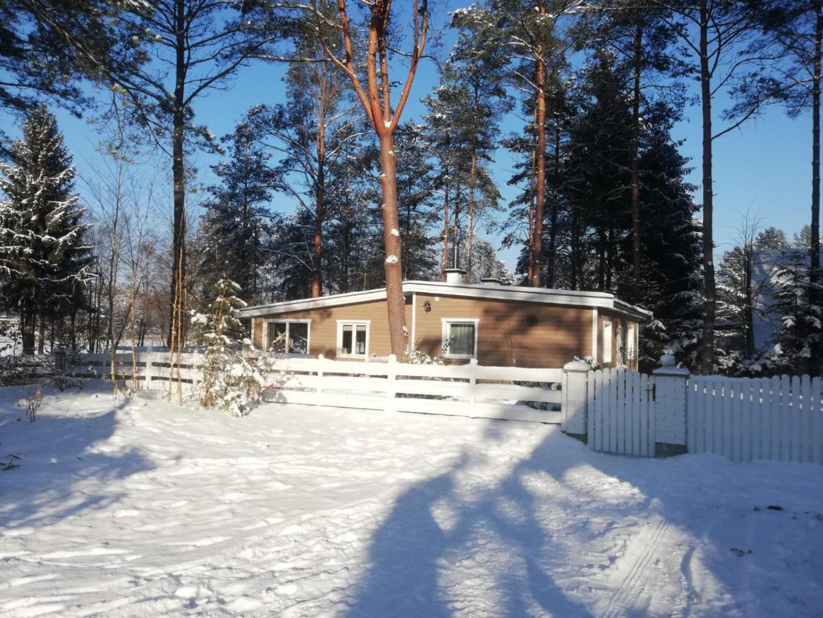 Villa Sosnowy Azyl Wąglikowice Exterior foto