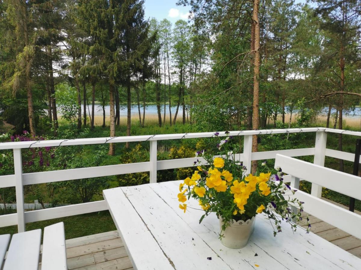 Villa Sosnowy Azyl Wąglikowice Exterior foto