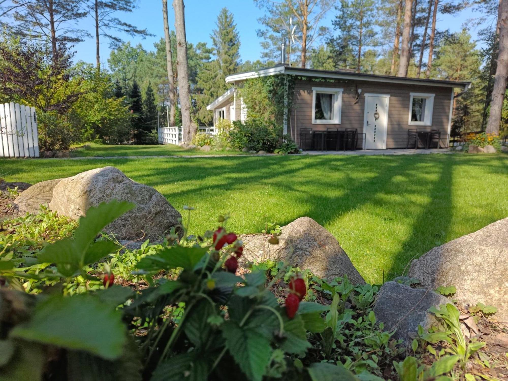 Villa Sosnowy Azyl Wąglikowice Exterior foto