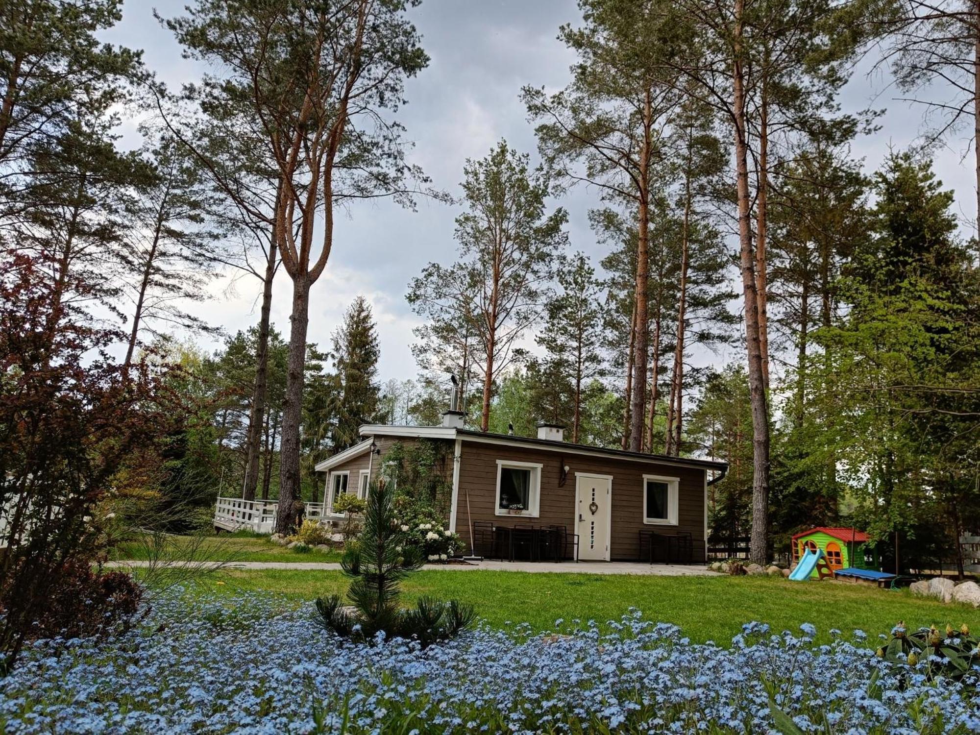 Villa Sosnowy Azyl Wąglikowice Exterior foto