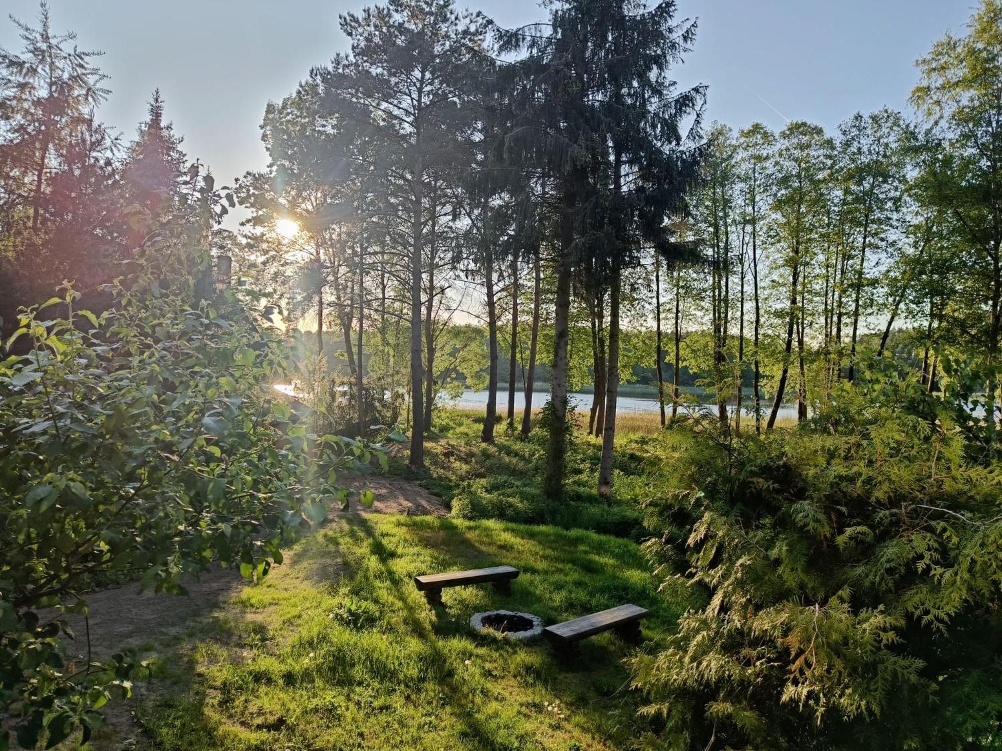 Villa Sosnowy Azyl Wąglikowice Exterior foto